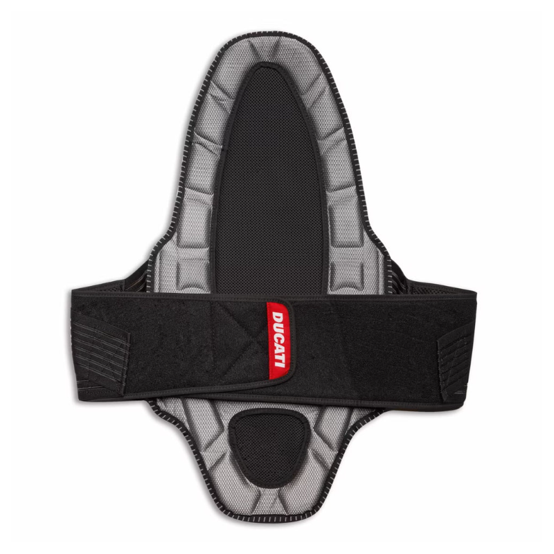 981077245_1.png (444 KB)