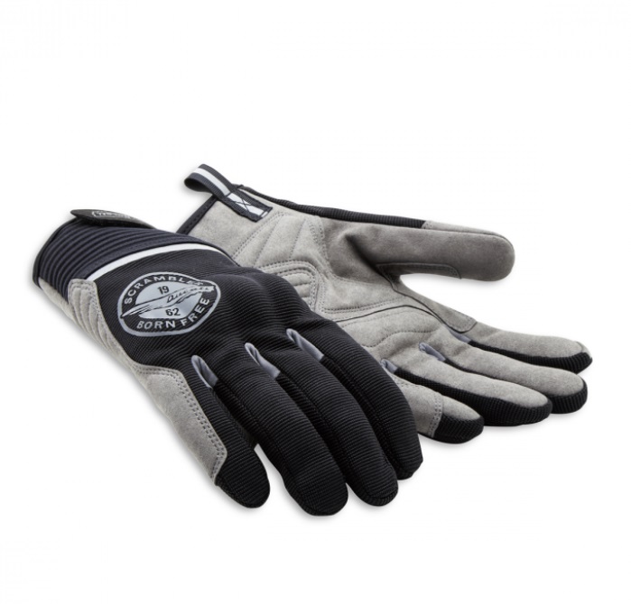 98104309.jpg (72 KB)